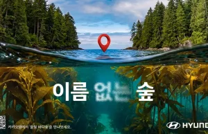 현대차, 바다숲을 지키는 ‘이름 없는 숲’ 캠페인 전개